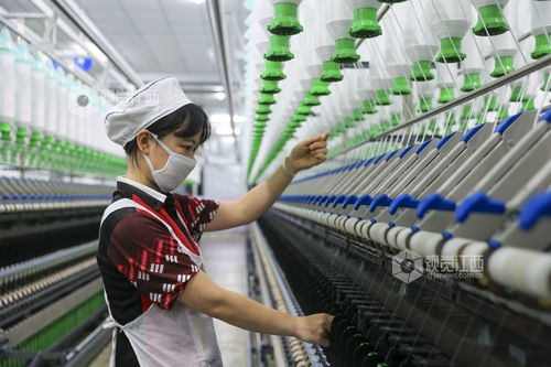 江西瑞昌 數字工廠助力產銷兩旺，針織品及原料批發蓬勃發展